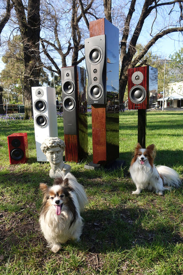 Dynaudio in Melbourne