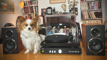 Encel turntable system
