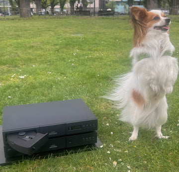 Naim CD5Si Compact Disc player