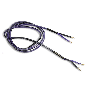 Analysis Plus Clear Oval