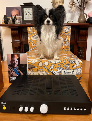 Encel Brains Amplifier ... a clever little chap