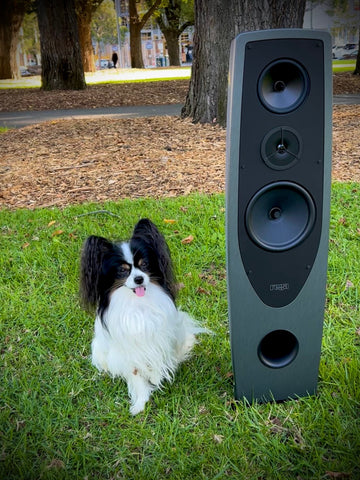 Rega Aya Speakers