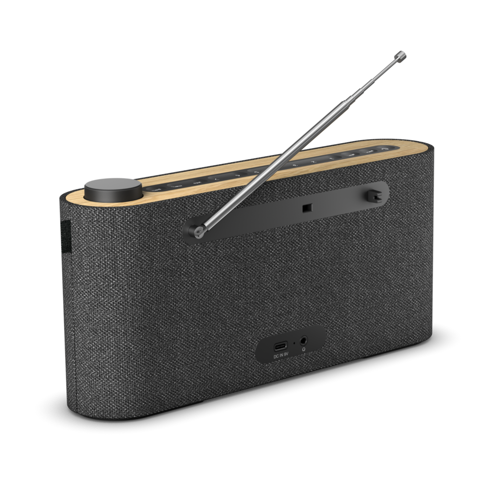 Loewe Radio, DAB+ portable radio