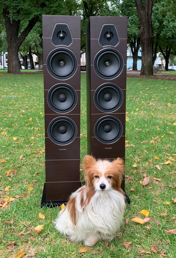 Sonus Faber Lumina III