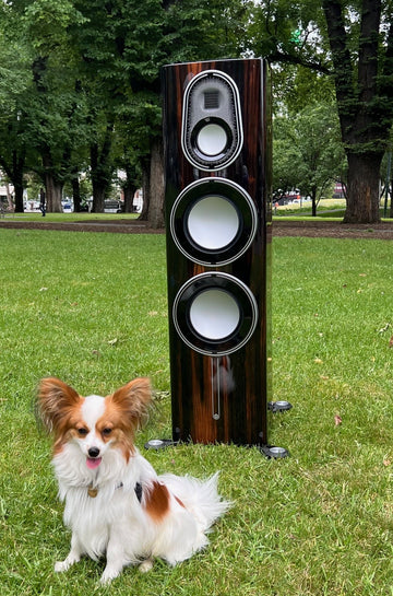 Monitor Audio Platinum PL300 loudspeaker