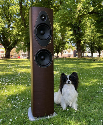 Sonus faber Sonetto III G2