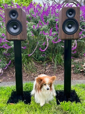 Acoustic Energy AE100.2, the best British compact loudspeaker?