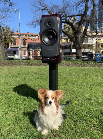 Bookshelf loudspeakers