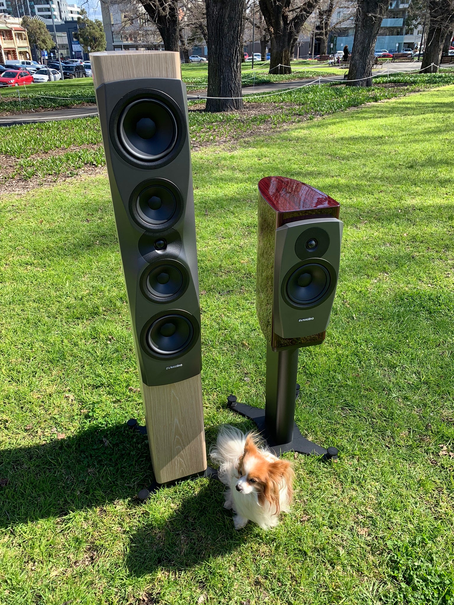 Dynaudio Confidence series loudspeakers