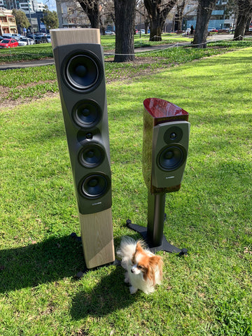 Dynaudio Confidence series loudspeakers