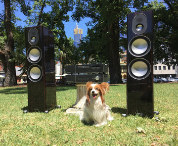 Monitor Audio Gold series loudspeakers