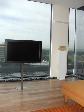 TV on a stick