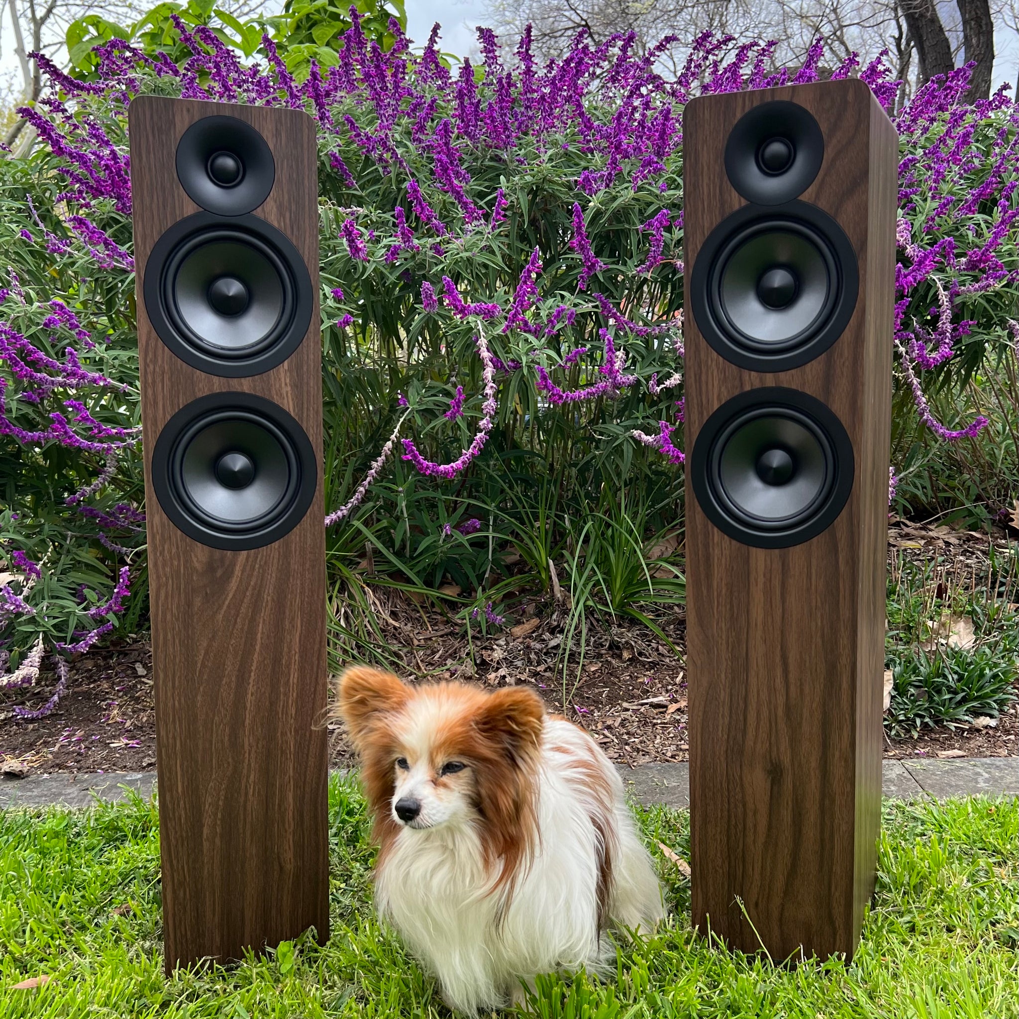 Acoustic Energy AE109.2 loudspeaker