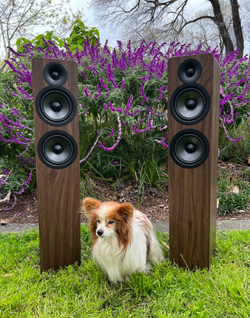 Acoustic Energy AE109.2 loudspeaker