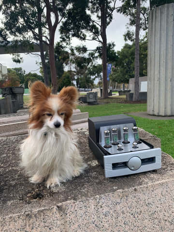 Synthesis Roma 96DC Valve integrated Amplifier 25W Pure Class A (Handmade in Italy)