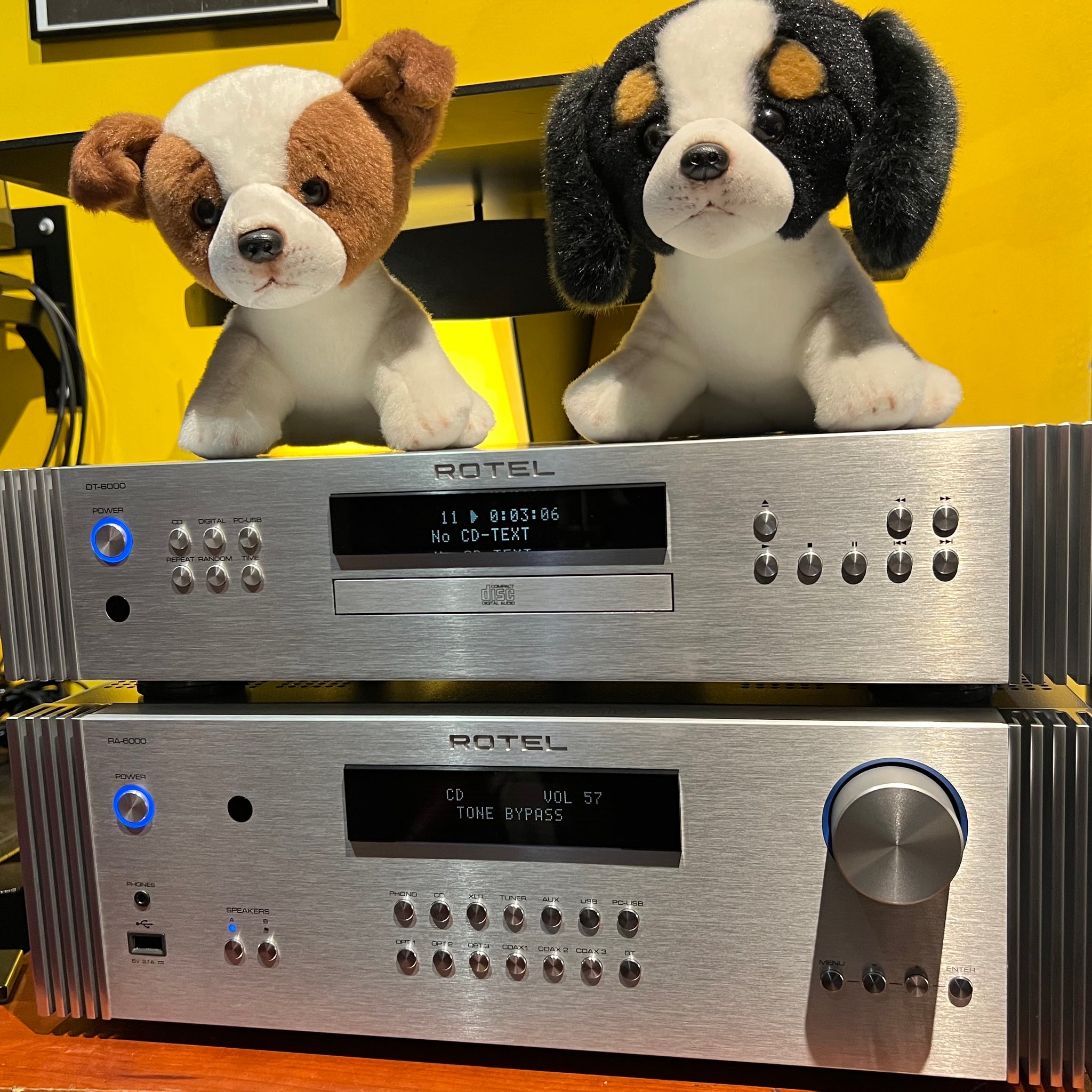 Rotel RA-6000 Amplifier