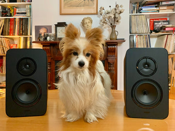 The Rega Kyte loudspeaker ... design heresy