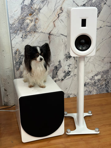 PS Audio Foundry FR12 Subwoofer