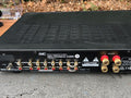Well equipped input set on the amplifier