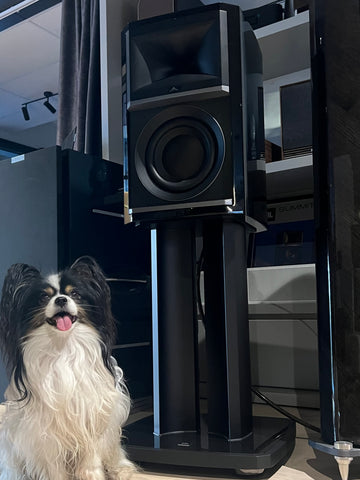 JBL Summit Series Ama, Bookshelf Speakers