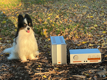 Quad 33 Preamplifier