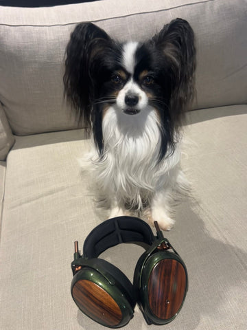 Meze Strada Headphones