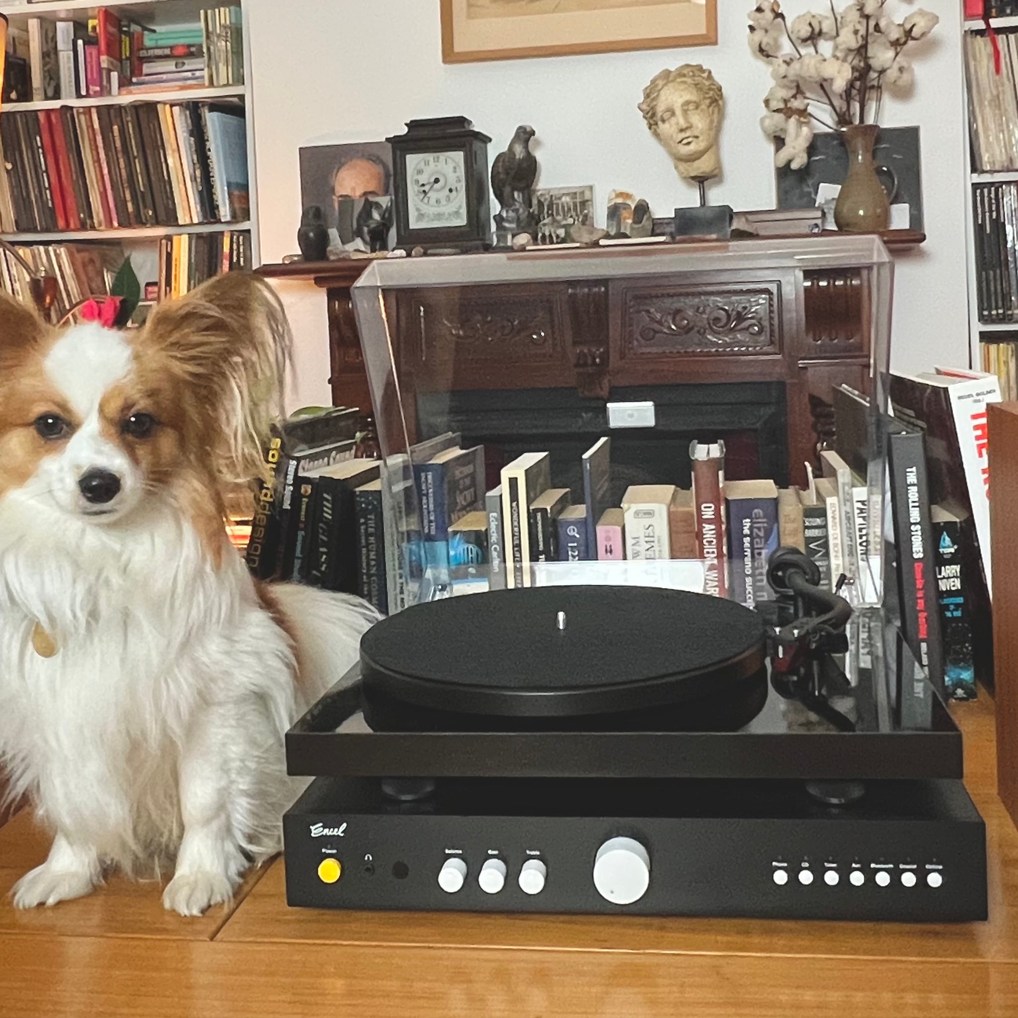 Encel turntable system