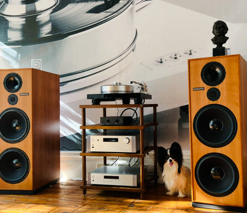 Spendor Classic 200 Speakers, EX-DEMO Cherry