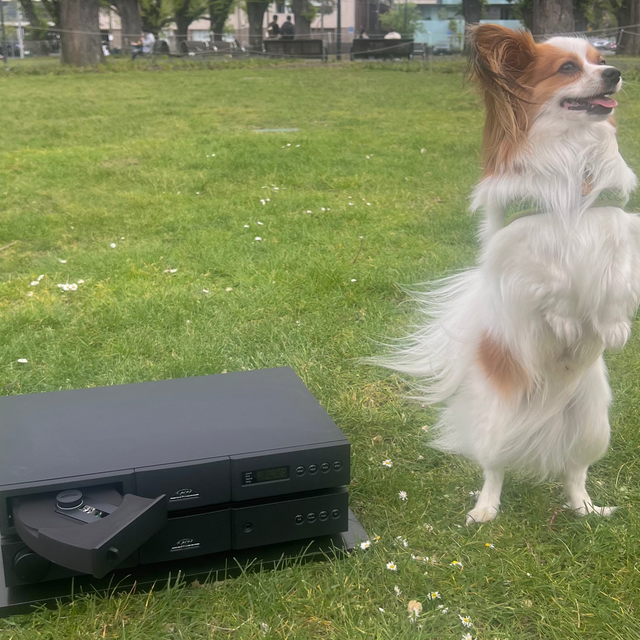 Naim CD5Si Compact Disc player