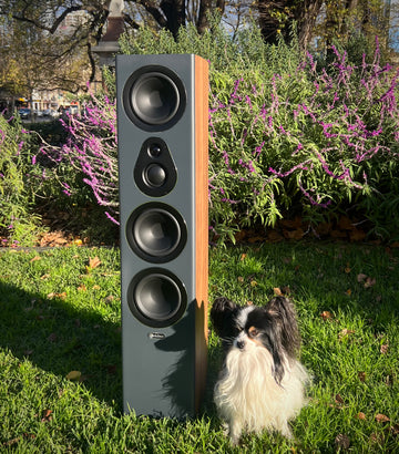 Richter Dragon S7 Special Edition Floorstanding Speakers