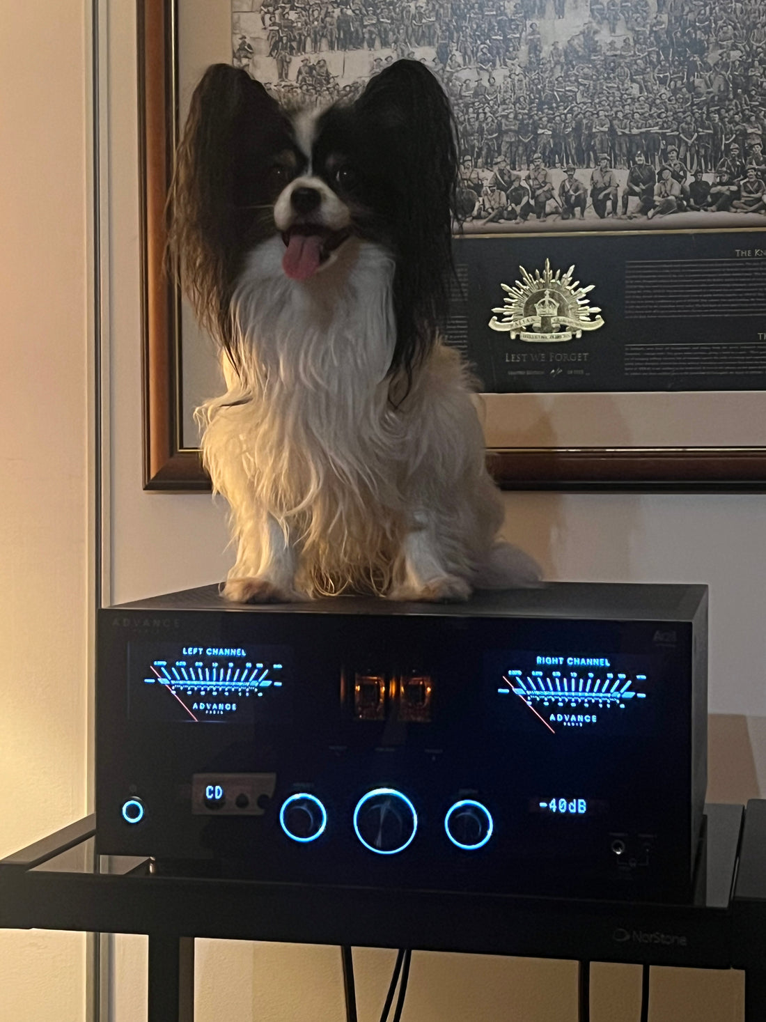 Advance Paris  Apex A12 Hybrid Integrated Amplifier