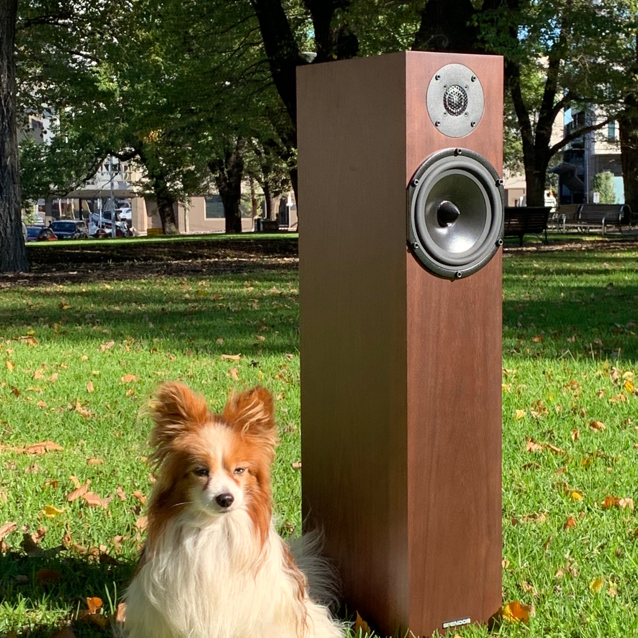 Spendor A4 Floorstanding Speaker