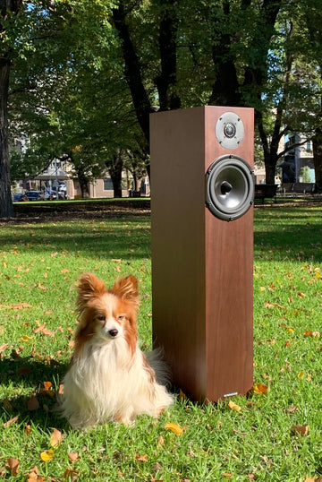 Spendor A4 Floorstanding Speaker