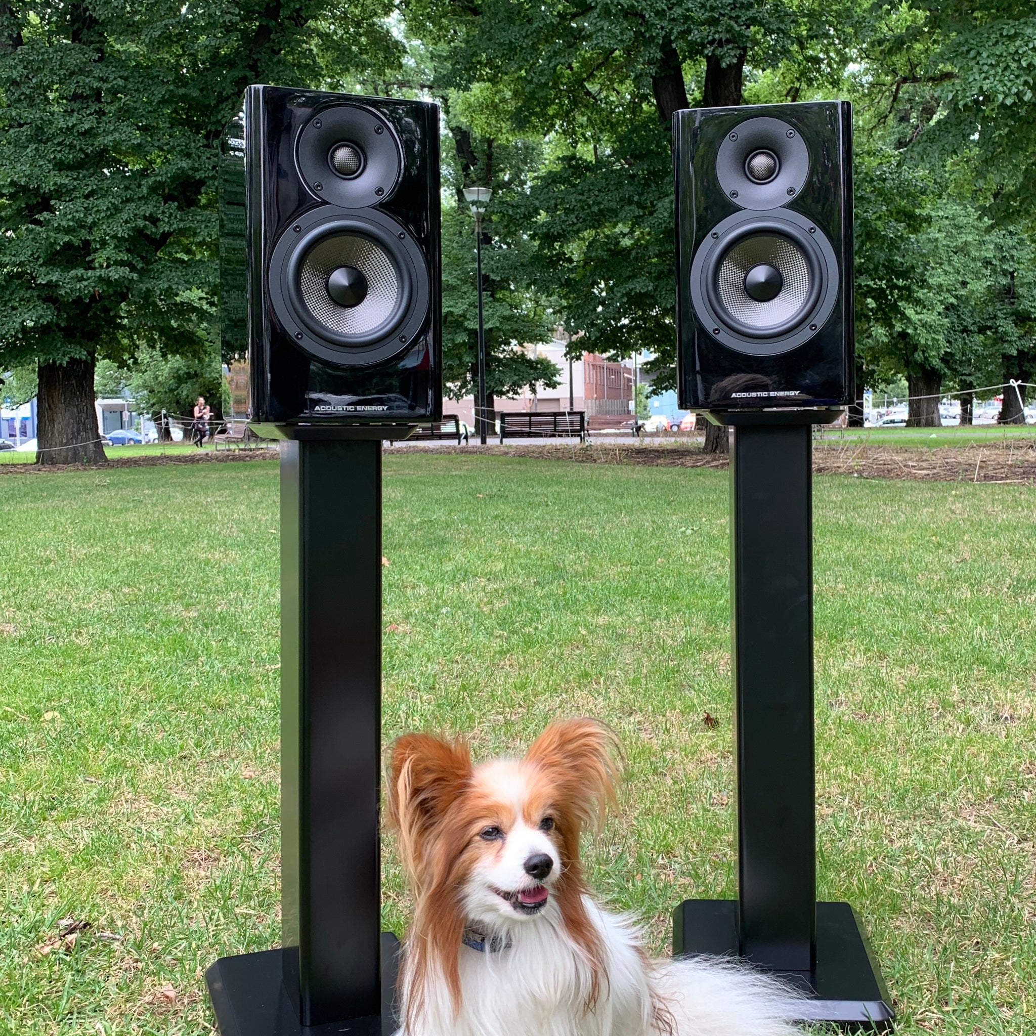 Acoustic Energy AE500 Standmount Speaker ... pure carbon ...