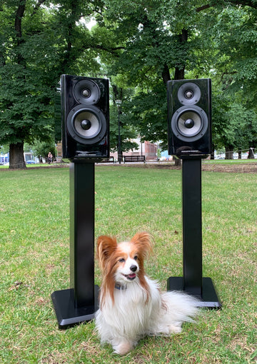 Acoustic Energy AE500 Standmount Speaker ... pure carbon ...