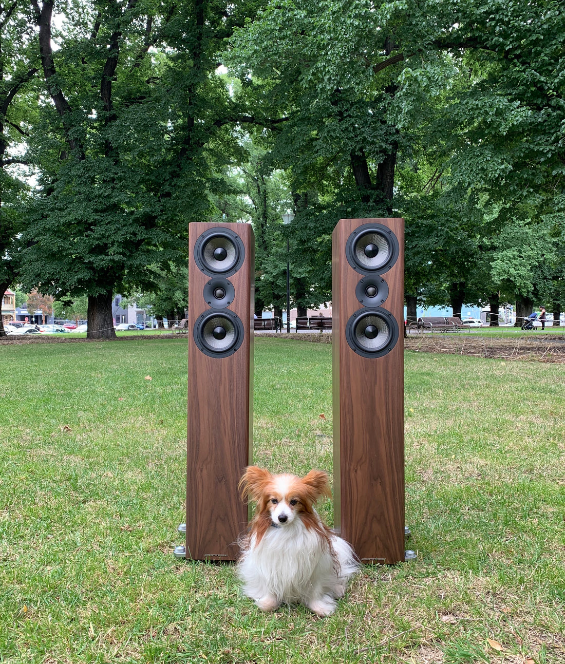 Acoustic Energy AE509 Floorstanding Speaker EX-DEMO, Walnut