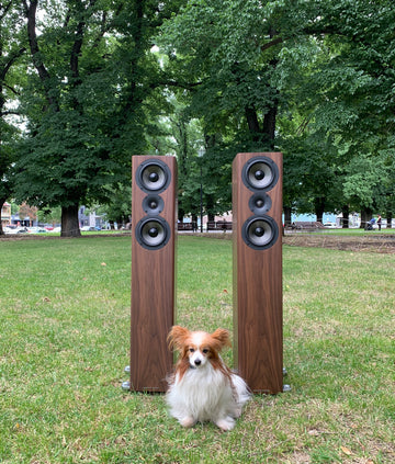 Acoustic Energy AE509 Floorstanding Speaker