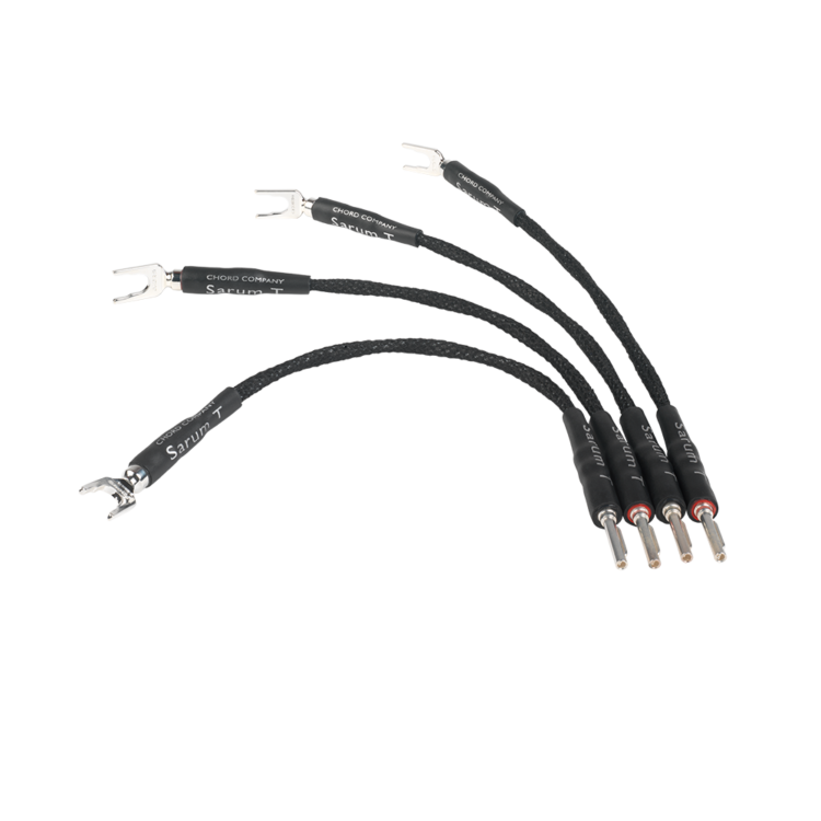 Chord Sarum T Speaker Links X4