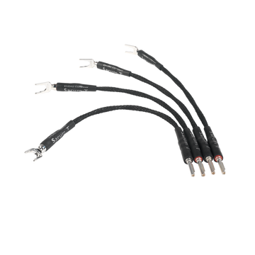 Chord Sarum T Speaker Links X4