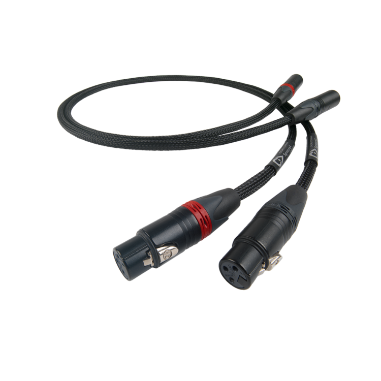 Chord SignatureX XLR