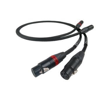 Chord SignatureX XLR