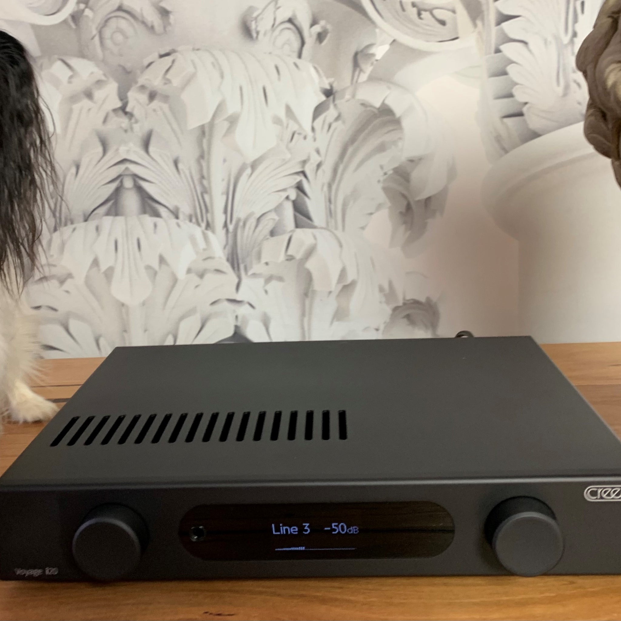Creek Voyage i20 amplifier ... too sexy for it's shirt.