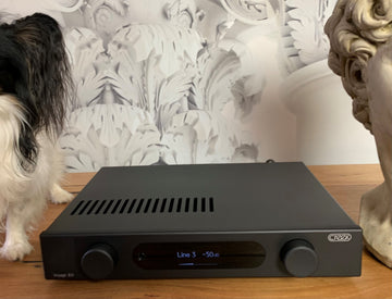 Creek Voyage i20 amplifier ... too sexy for it's shirt.