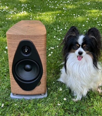 Sonus faber Sonetto II G2