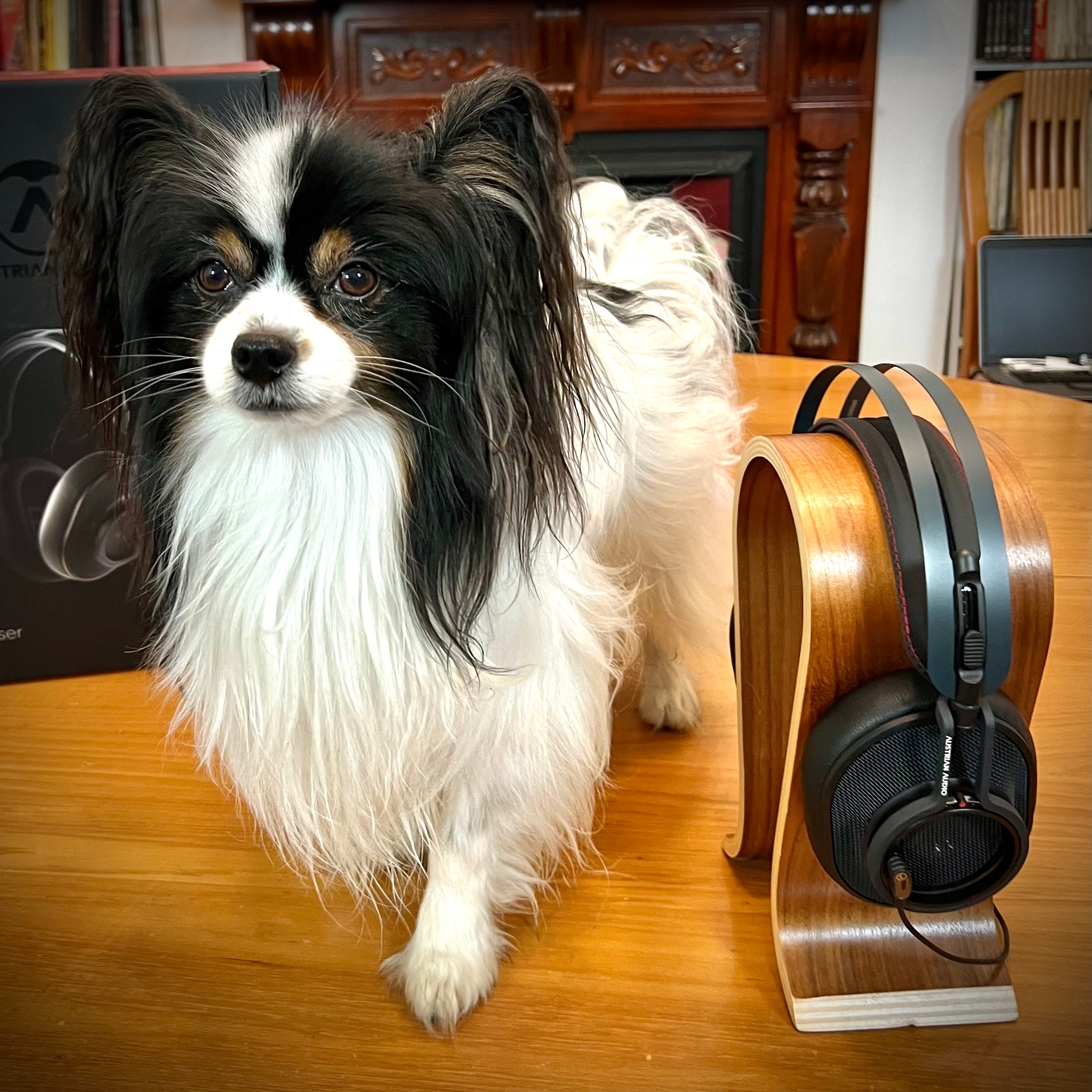 Austrian Audio, The Composer Headphone