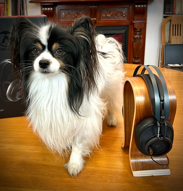 Austrian Audio, The Composer Headphone