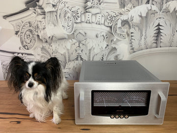 Audio Research Reference 80S Power Amplifier