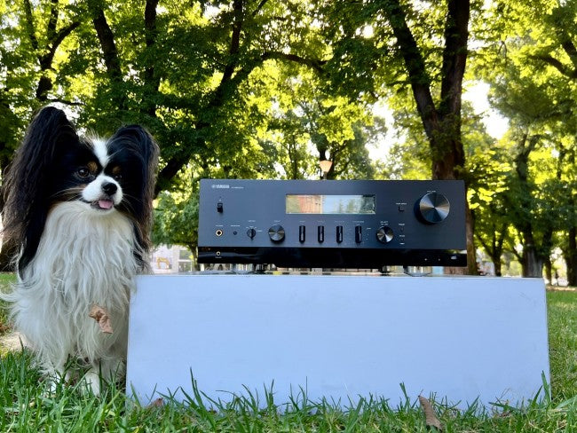 Yamaha RN2000A Streaming Receiver ... heavy cruiser stereo tuner amp