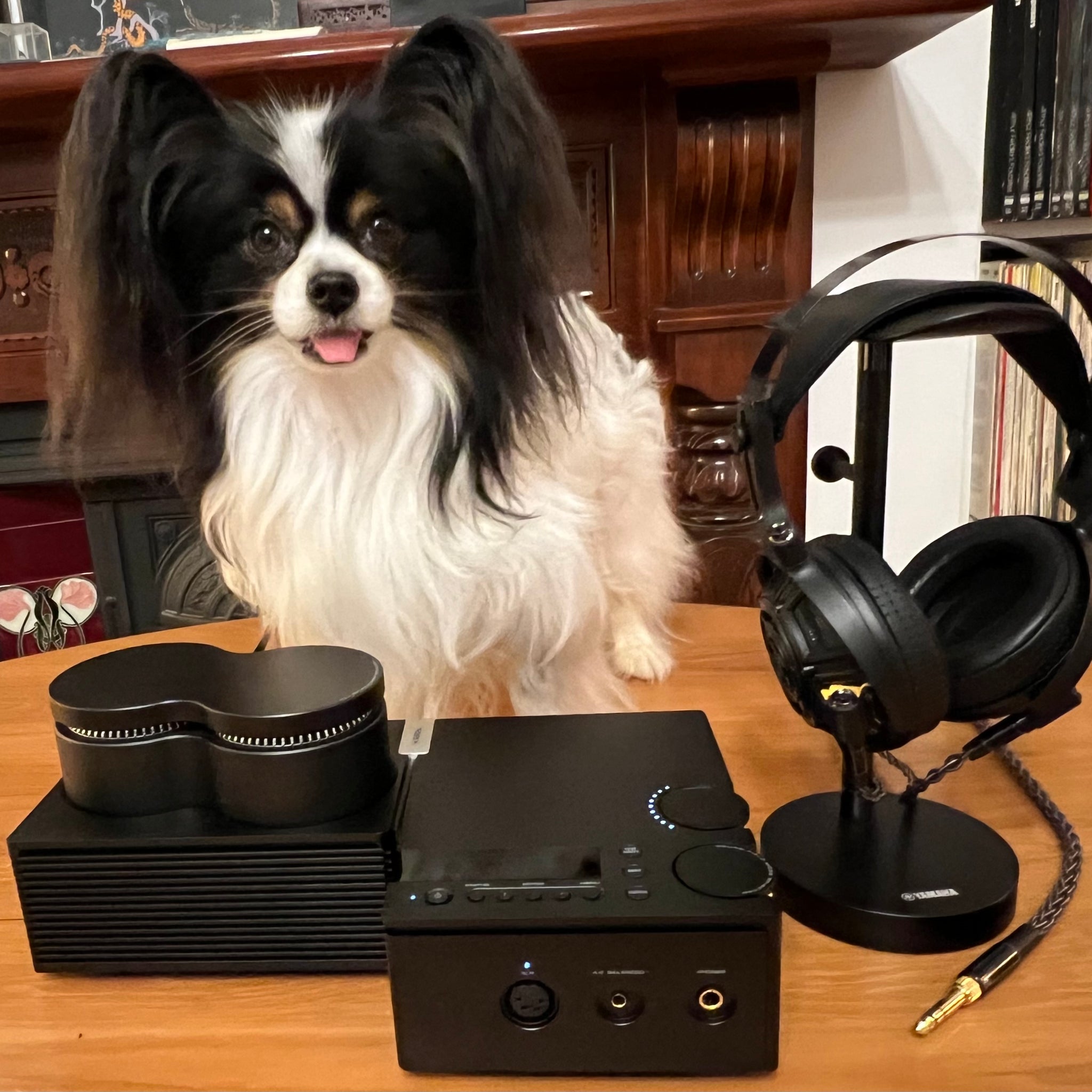 Yamaha HA-L7A  headphone amplifier
