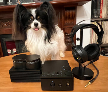 Yamaha HA-L7A  headphone amplifier